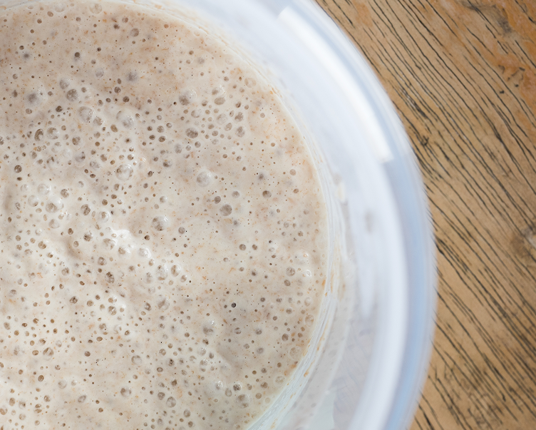 THE SCIENCE BEHIND SOURDOUGH